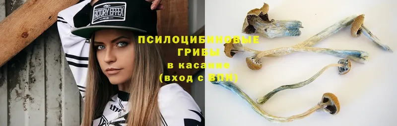 hydra ONION  Кириши  Псилоцибиновые грибы мухоморы 